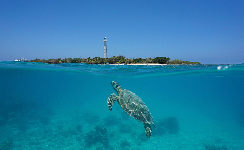 ヌーメア(ニューカレドニア)