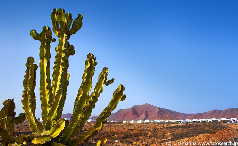 ランサローテ島