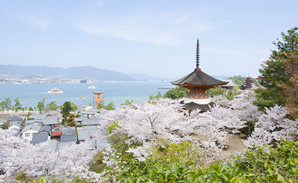 広島 / 安芸の宮島