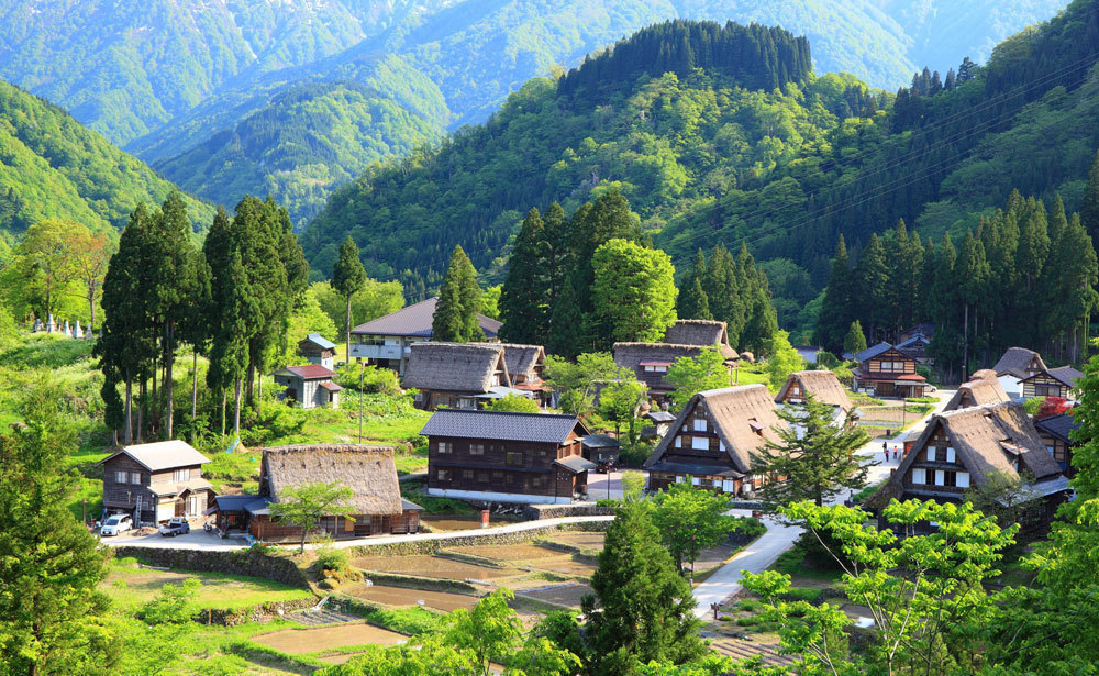 伏木富山
