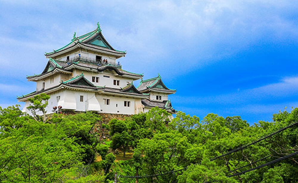 和歌山城（日高）