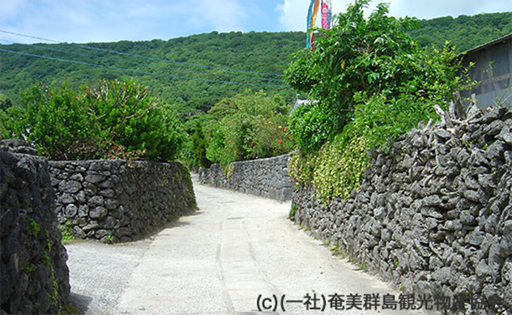 喜界島