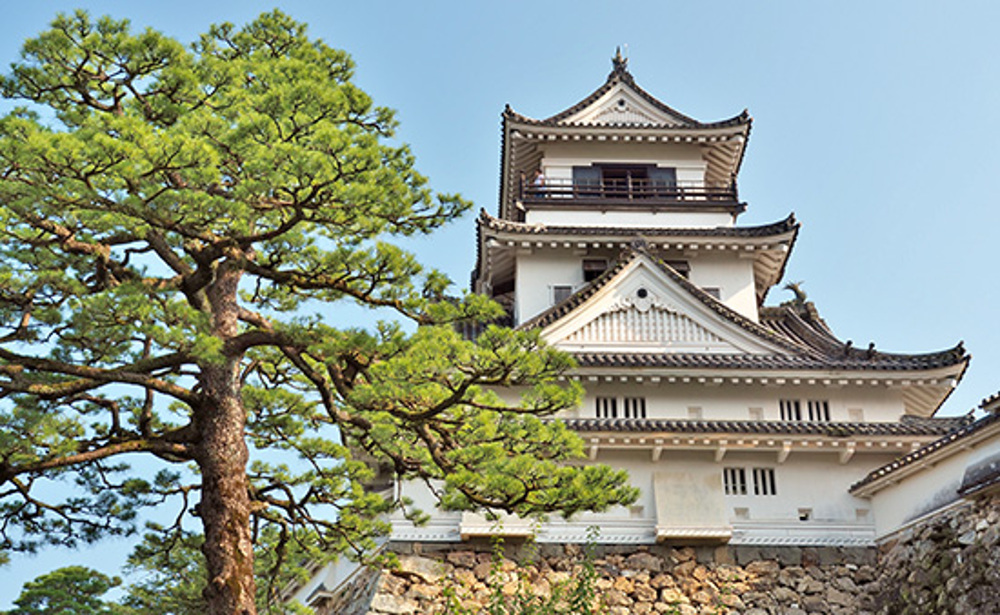 高知城（イメージ）