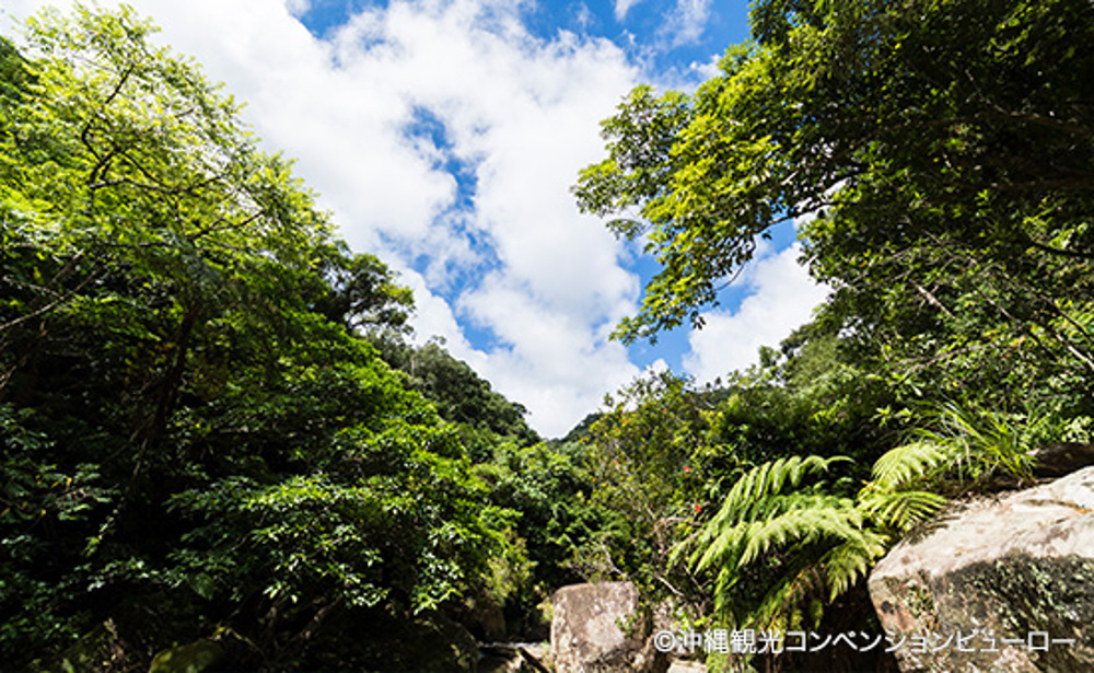 西表島