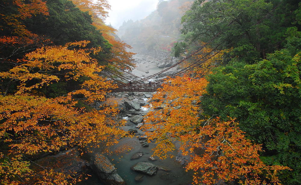 徳島
