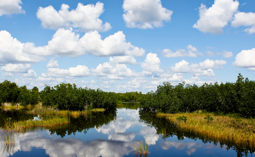 マイアミ / エバーグレイズ国立公園