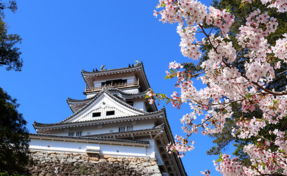 高知城(イメージ)