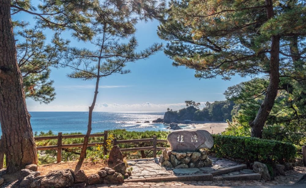 高知/桂浜(イメージ)