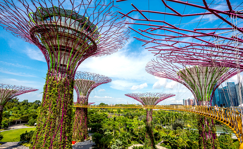 シンガポール / ガーデンズバイザベイ