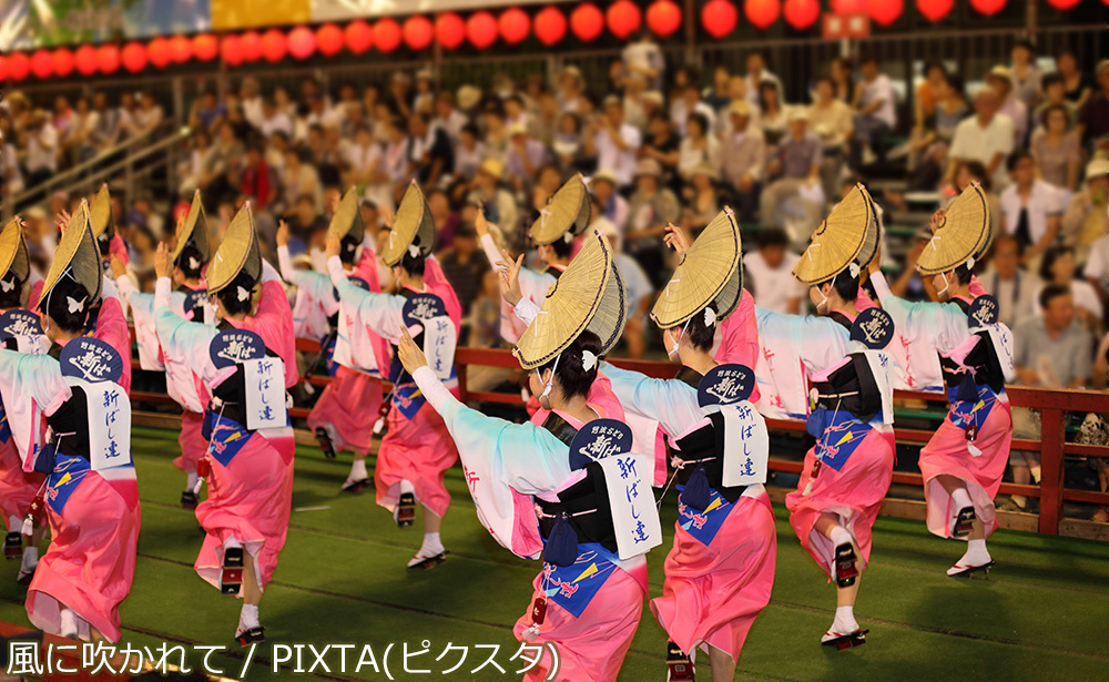 阿波踊り/小松島/徳島