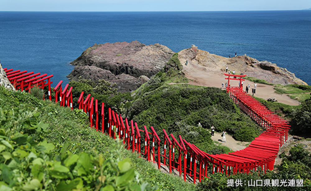 元乃隅神社(仙崎)イメージ