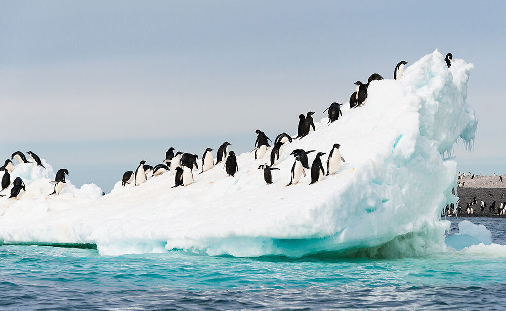 南極遊覧イメージ