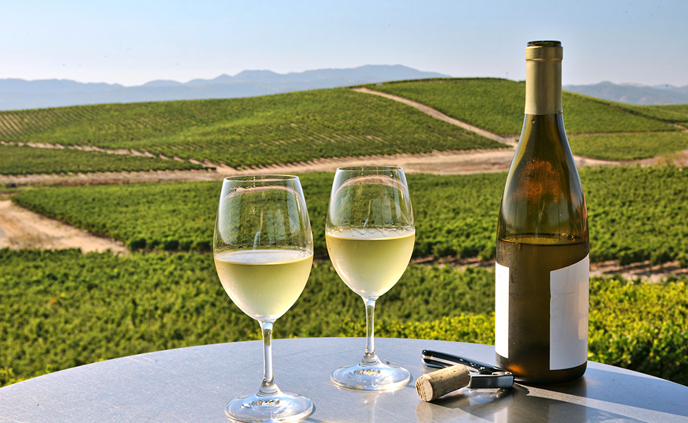 サンフランシスコ<br>ナパバレーワイナリー<br>（イメージ）