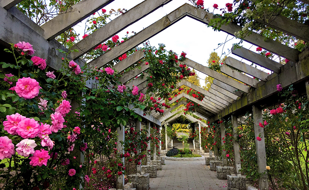 スタンレーパーク/バンクーバー