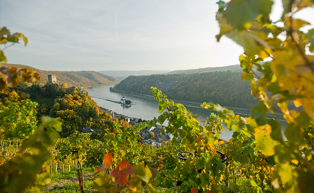 ライン川クルーズ（イメージ）