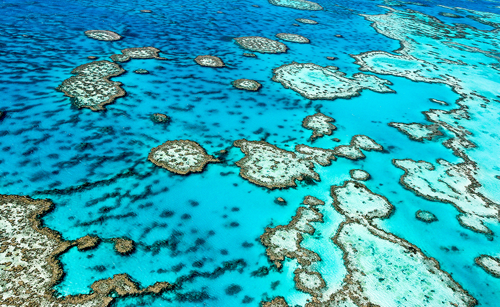 グレートバリアリーフ