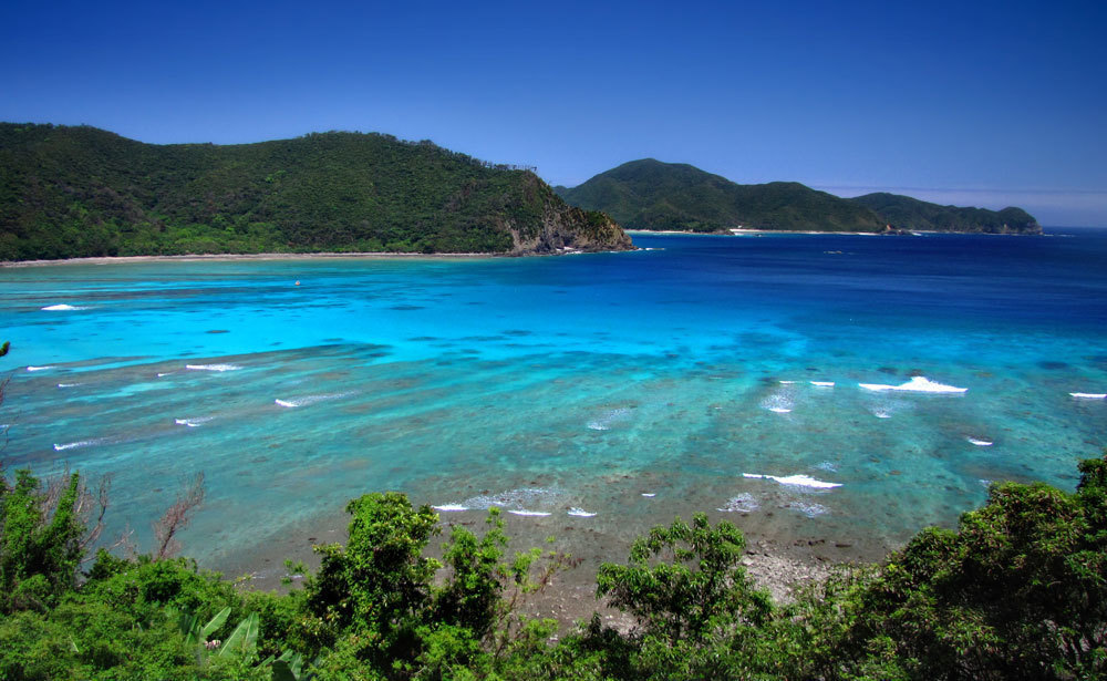 奄美大島