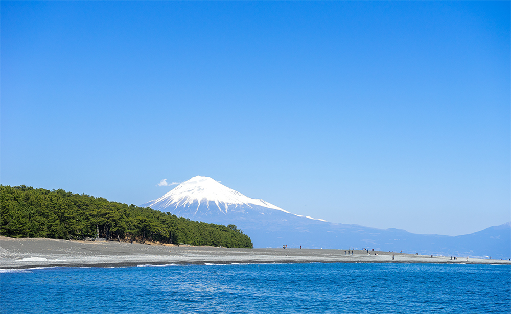 清水