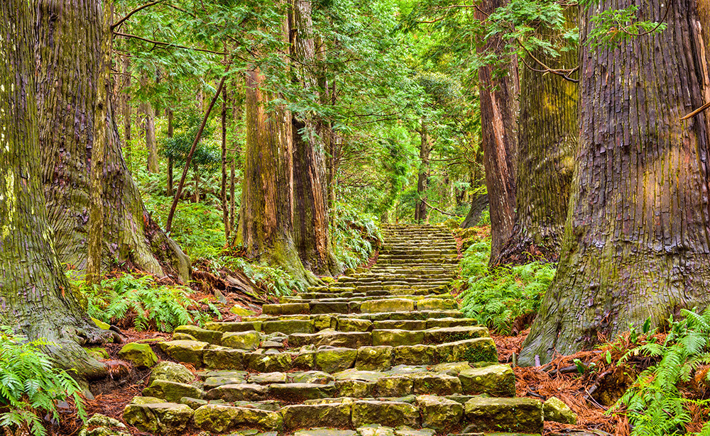 熊野古道 大門坂