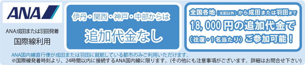 ANA_haneda_narita_18000