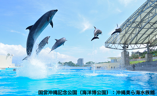 okichan