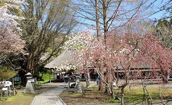 有珠善光寺