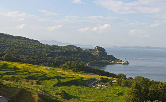 豊島(イメージ)