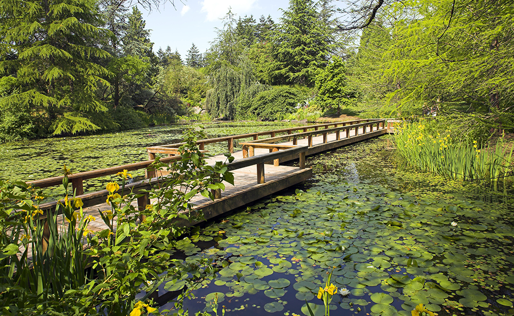 vancouver_vandusen_01