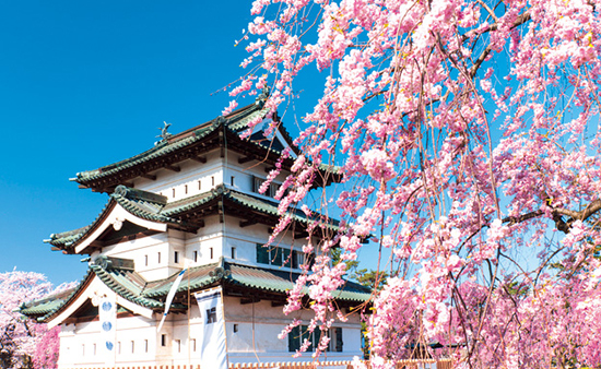 青森 弘前城 (イメージ)