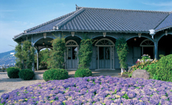 【ブラックフライデーSALE】西日本周遊と済州島クルーズ13日間