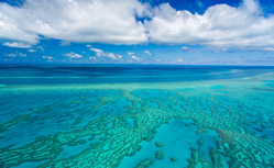 ANA直行便で行く オーストラリア東海岸クルーズ11日間