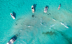 海の女王で巡る 西カリブ海クルーズ 13日間